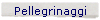 Pellegrinaggi