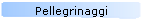 Pellegrinaggi