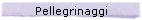 Pellegrinaggi